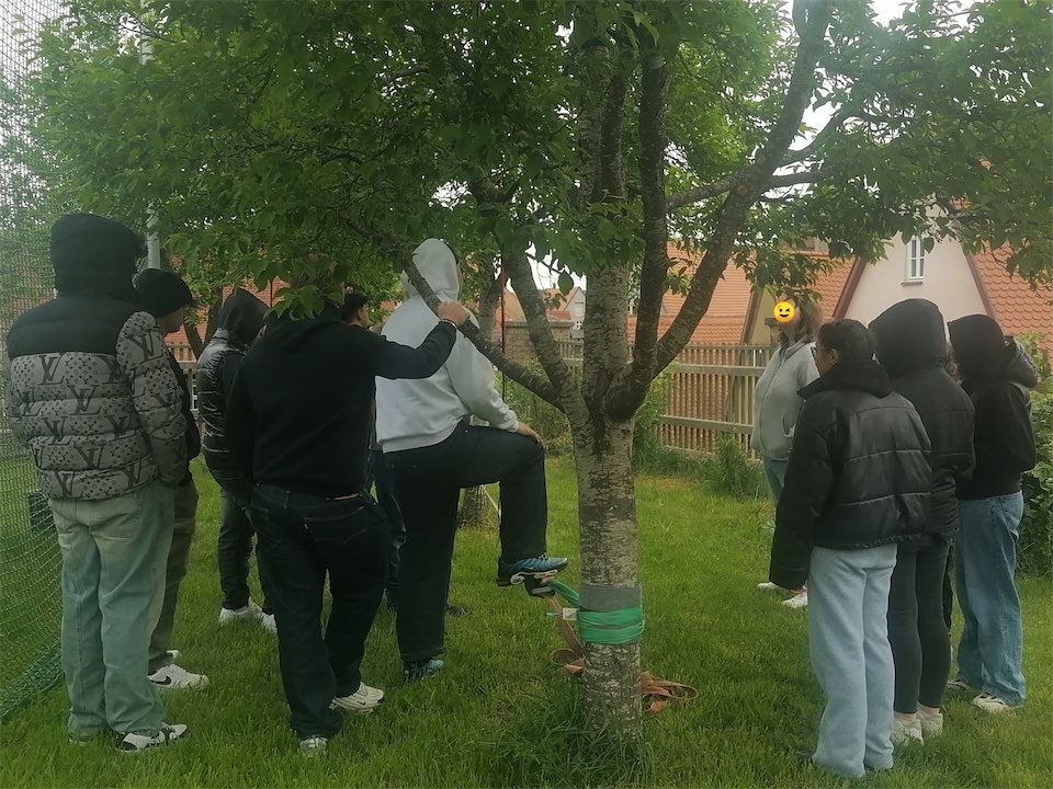 Teamb2